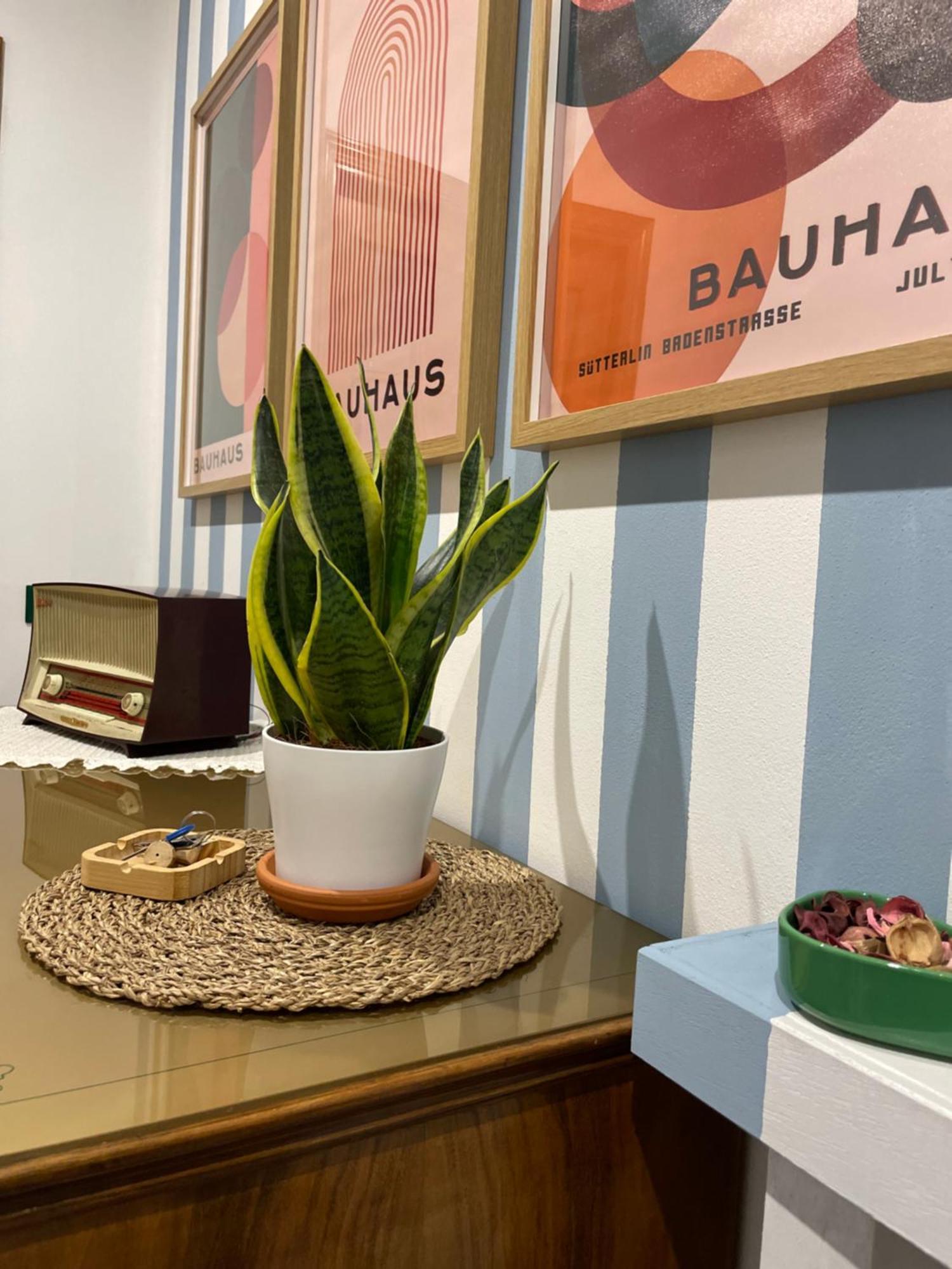 Apartmán Momi Chiappa  Exteriér fotografie